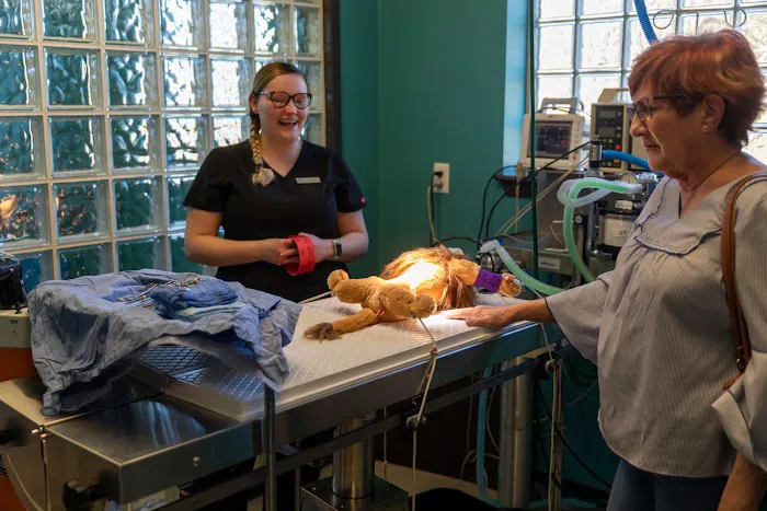 Cypress Veterinary Hospital Picture 9