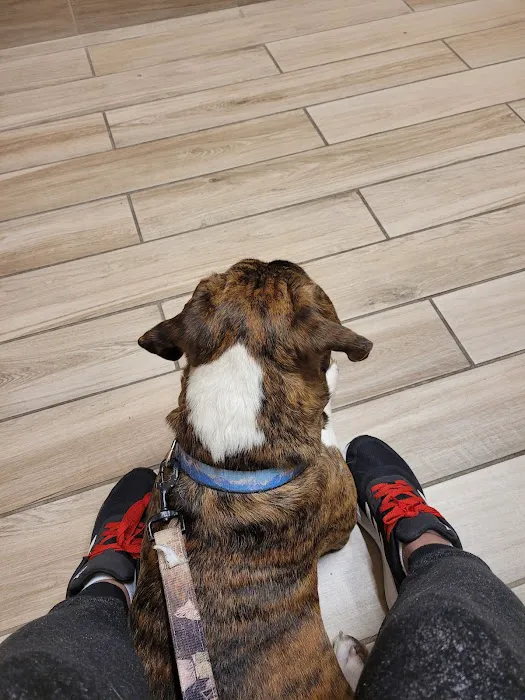 Cypress Veterinary Hospital Picture 7