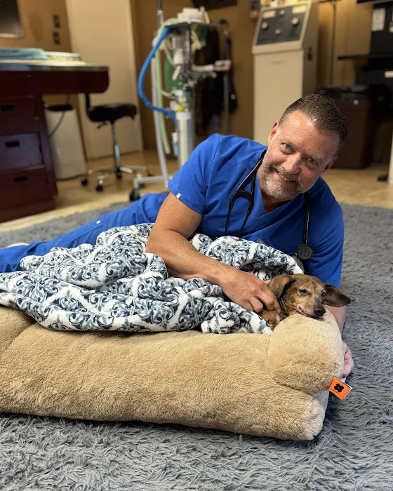HEARTHSTONE ANIMAL CLINIC Picture 3