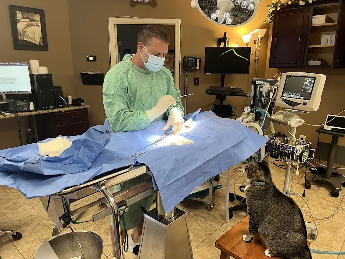 HEARTHSTONE ANIMAL CLINIC Picture 2