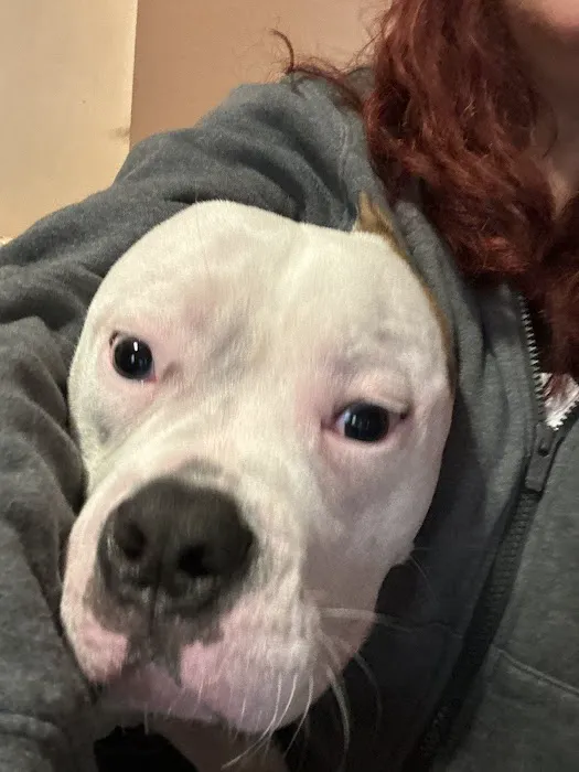 Cypress Falls Animal Hospital Picture 5
