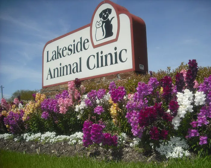 Lakeside Animal Clinic Picture 9
