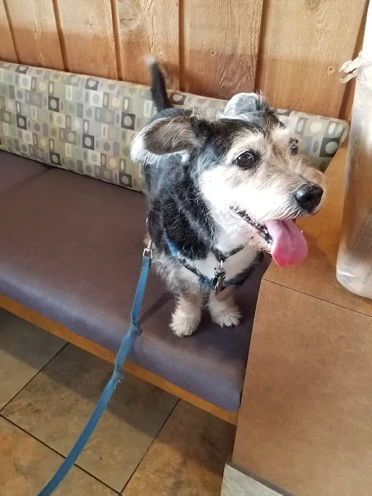 Lakeside Animal Clinic Picture 7