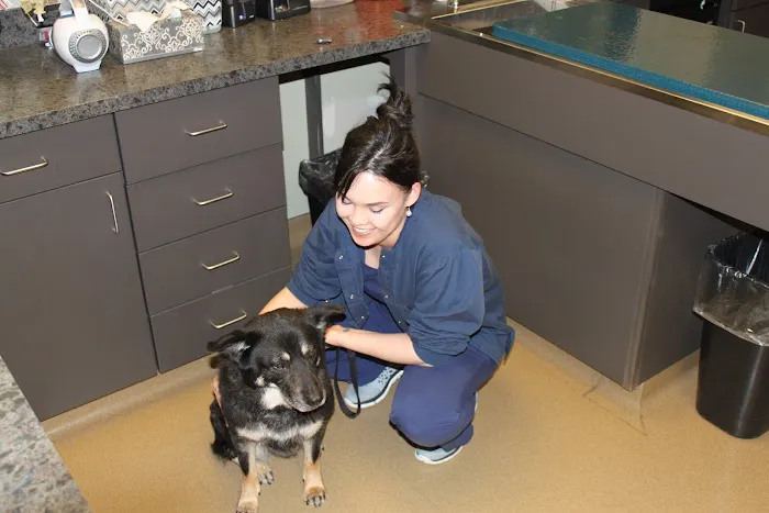 Lakeside Animal Clinic Picture 6