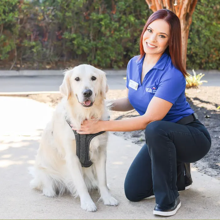 VCA Ashford Animal Hospital Picture 6