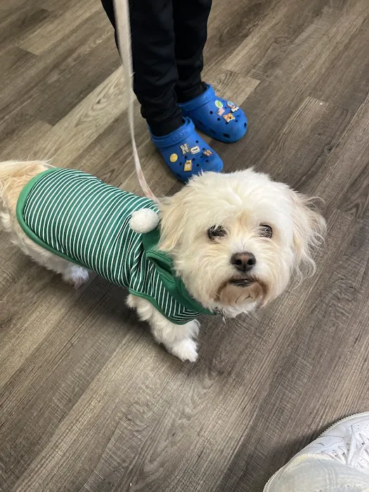 Cypresswood Animal Clinic Picture 4