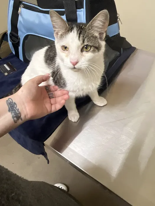 Vetco Total Care Animal Hospital Picture 3