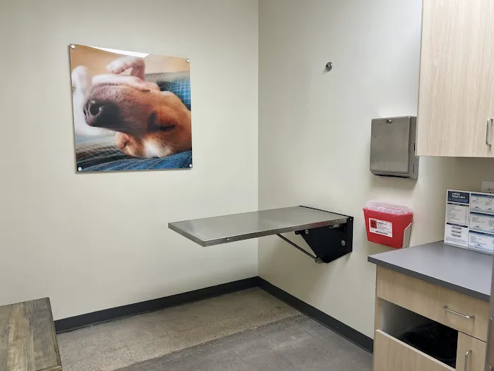 Vetco Total Care Animal Hospital Picture 9