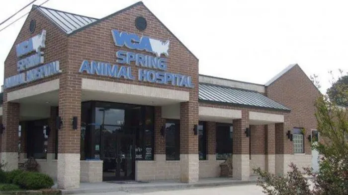 VCA Spring Animal Hospital Picture 5