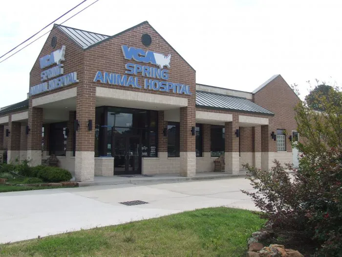 VCA Spring Animal Hospital Picture 4