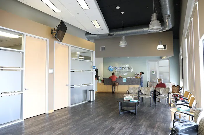 BluePearl Pet Hospital Picture 4