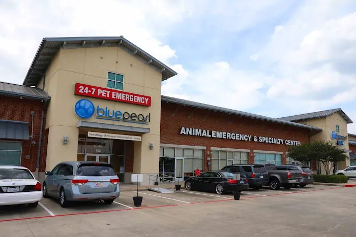 BluePearl Pet Hospital Picture 1