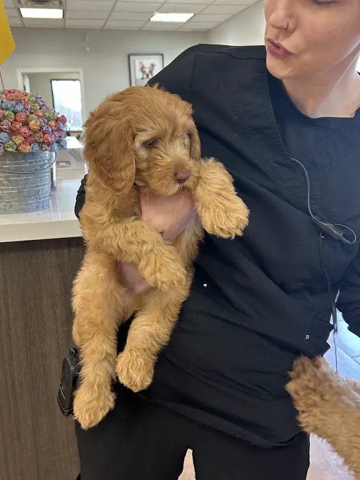 Enchanted Oaks Animal Hospital Picture 5