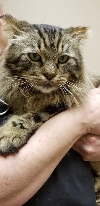 Enchanted Oaks Animal Hospital Picture 6