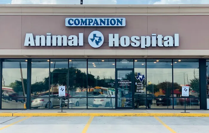 Companion Animal Hospital Picture 1