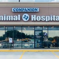 Companion Animal Hospital ico