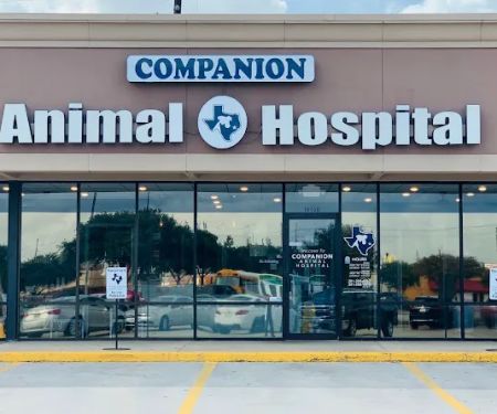 Companion Animal Hospital