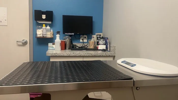 Companion Animal Hospital Picture 2