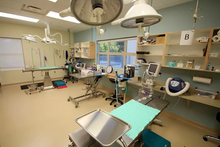 Stuebner Airline Veterinary Hospital Picture 10