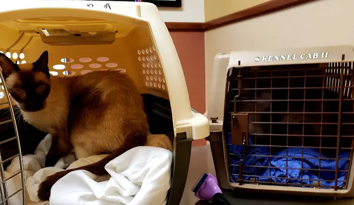 VCA Prestonwood Animal Hospital Picture 1