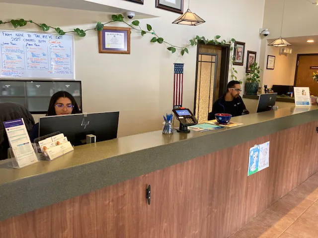 VCA Prestonwood Animal Hospital Picture 5