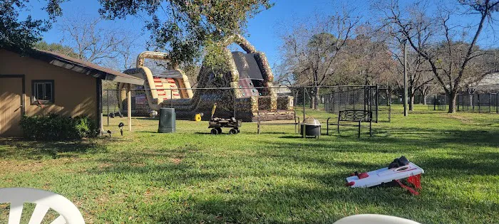 VCA Prestonwood Animal Hospital Picture 3