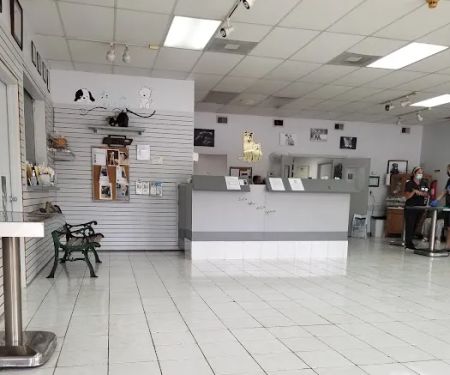 Springwood Veterinary Hospital