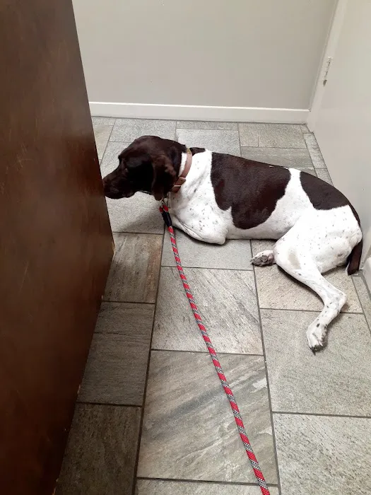 Grant Road Animal Clinic Picture 2