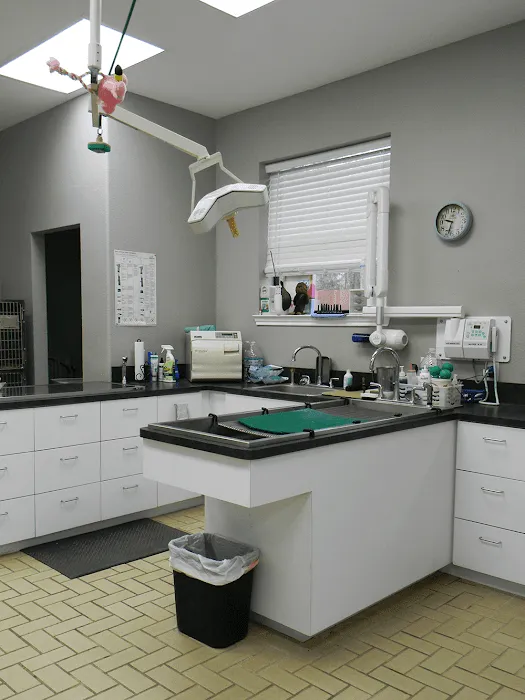 Tracy Animal Hospital Picture 6