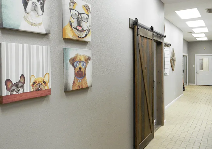 Tracy Animal Hospital Picture 5