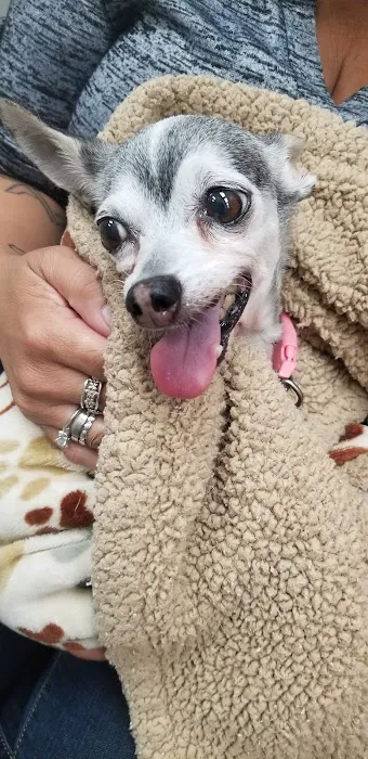 Tracy Animal Hospital Picture 3