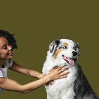 Petfolk Veterinary & Urgent Care - Vintage Park ico