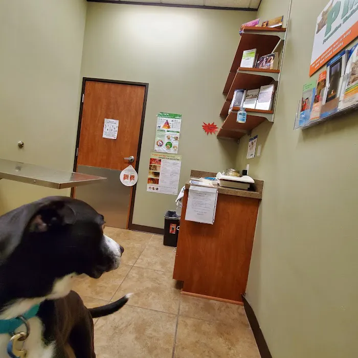 Best Care Animal Hospital Picture 4