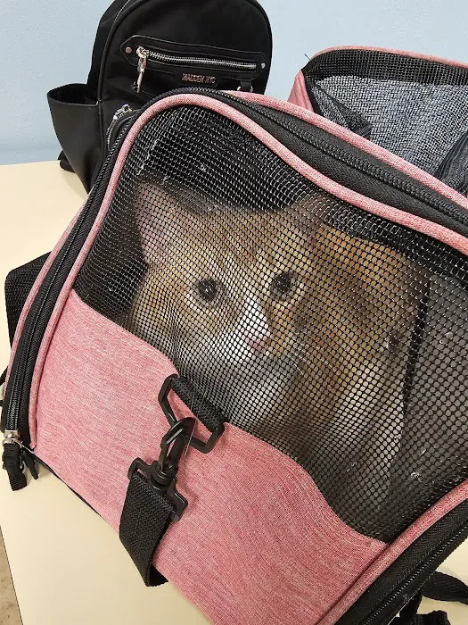 Best Care Animal Hospital Picture 1