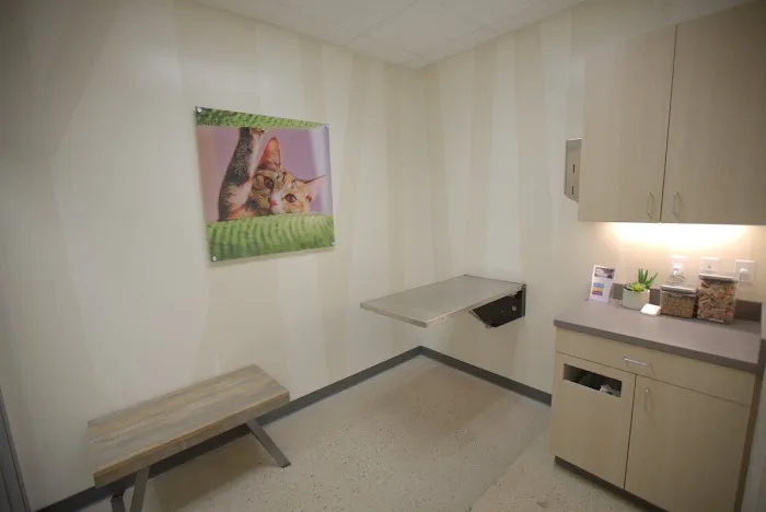 Vetco Total Care Animal Hospital Picture 6