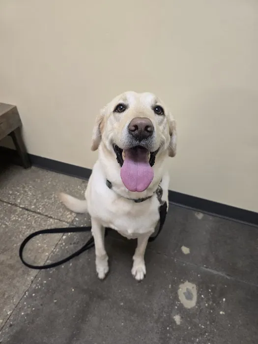 Vetco Total Care Animal Hospital Picture 8