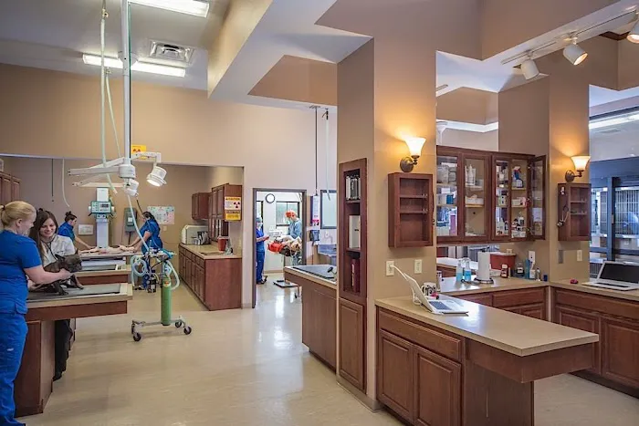 Atascocita Animal Hospital Picture 8