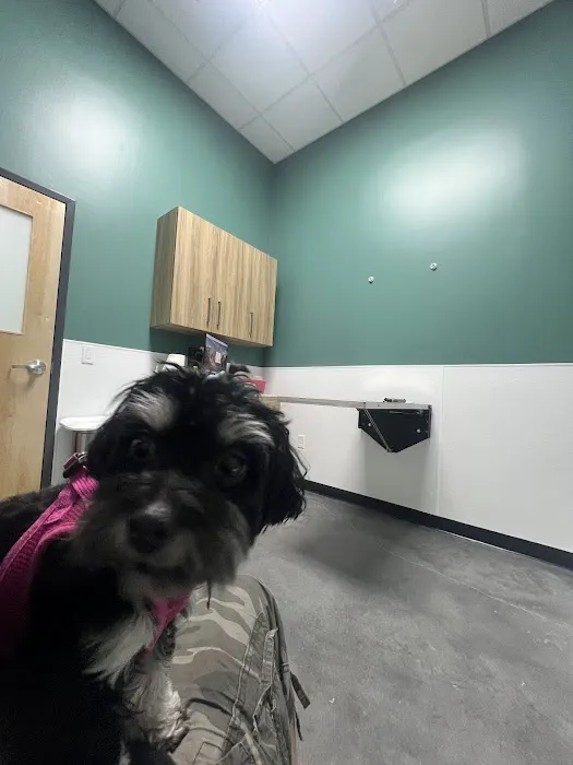 Magnolia Creek Animal Hospital Picture 5