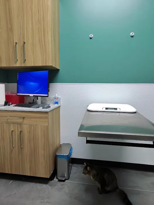 Magnolia Creek Animal Hospital Picture 10