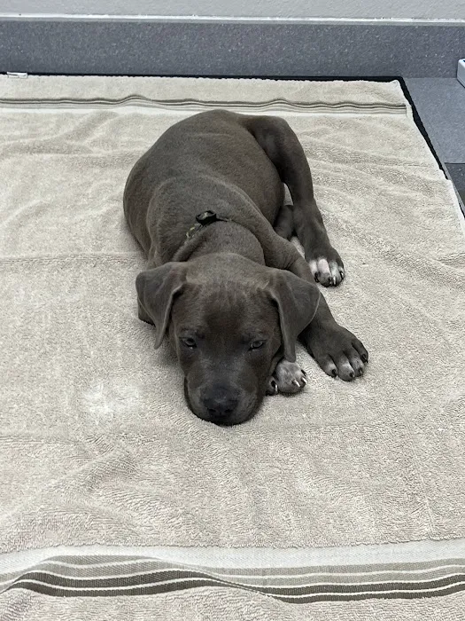 Forest Lake Animal Clinic Picture 2