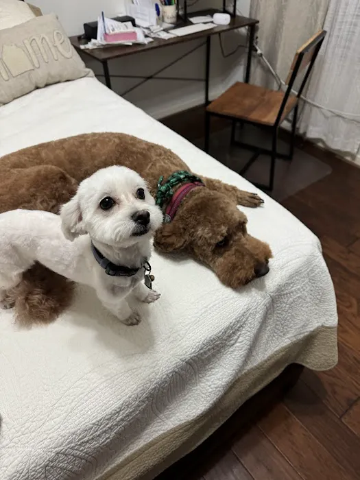 Clear Creek Animal Hospital Picture 2