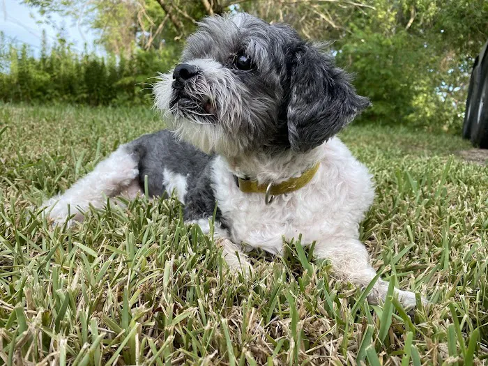 Clear Creek Animal Hospital Picture 10
