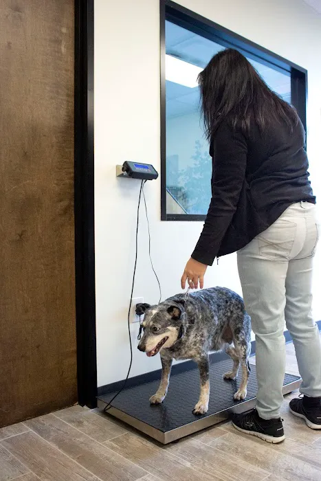 Alvin Animal Clinic Picture 1