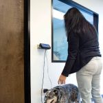 Alvin Animal Clinic