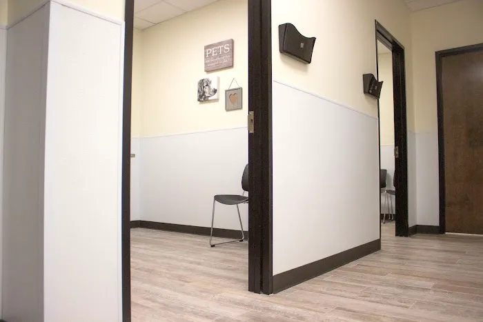 Alvin Animal Clinic Picture 8