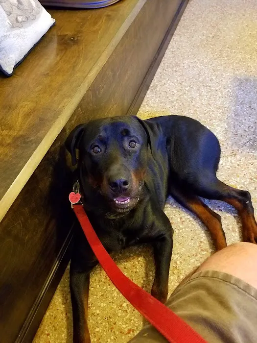 Alvin Animal Clinic Picture 7