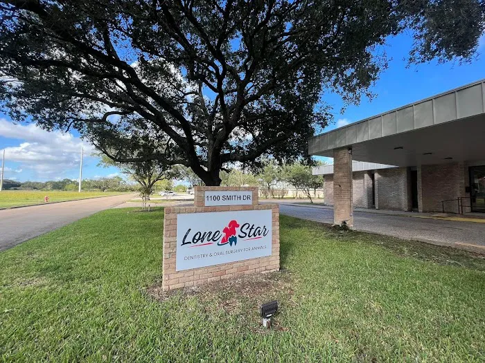 Lone Star Dentistry & Oral Surgery for Animals Picture 3