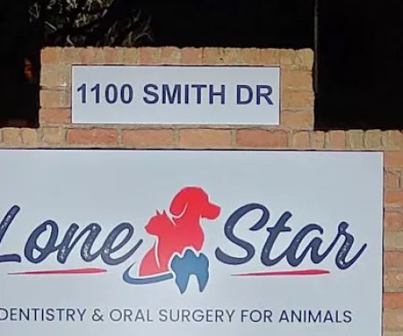Lone Star Dentistry & Oral Surgery for Animals