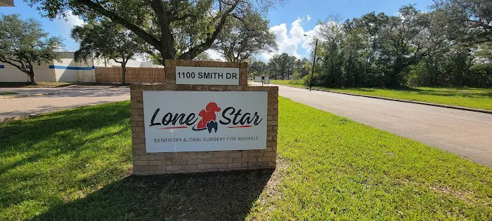 Lone Star Dentistry & Oral Surgery for Animals Picture 8
