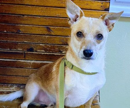 Hwy 6 Veterinary Clinic